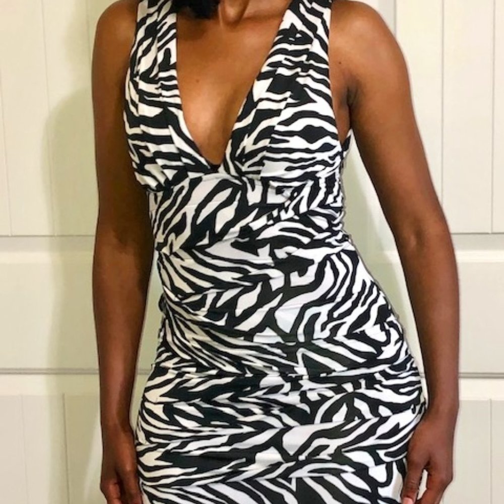 Zebra Nightclub Minidress